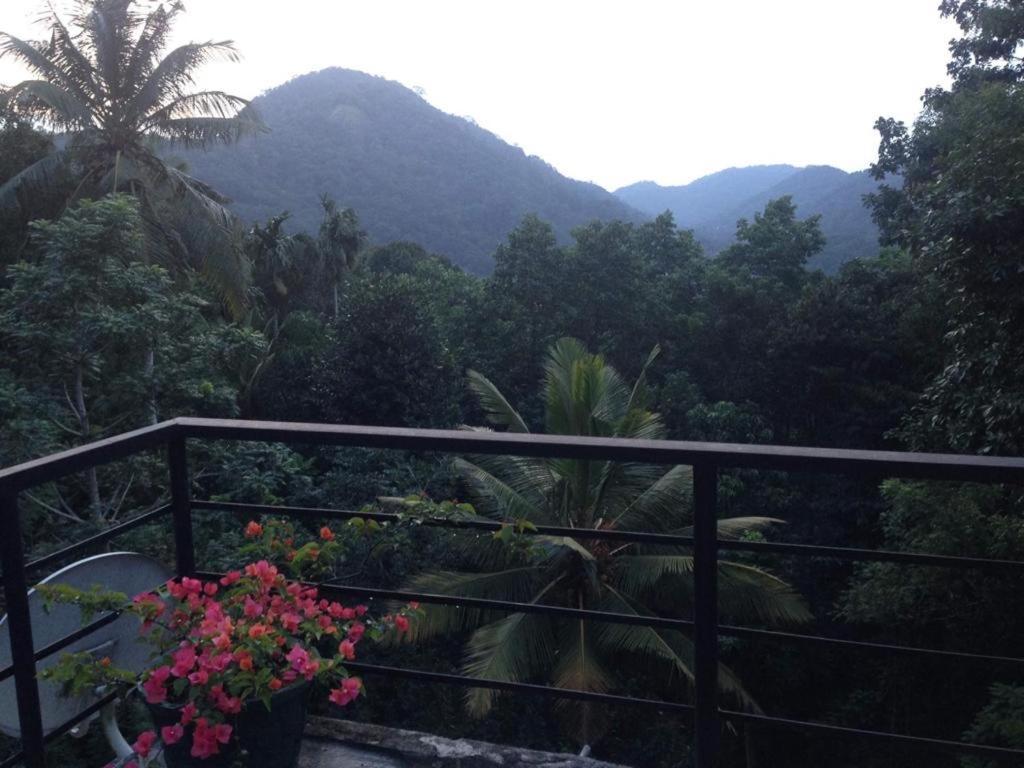 Araliya Home Stay Kandy Esterno foto