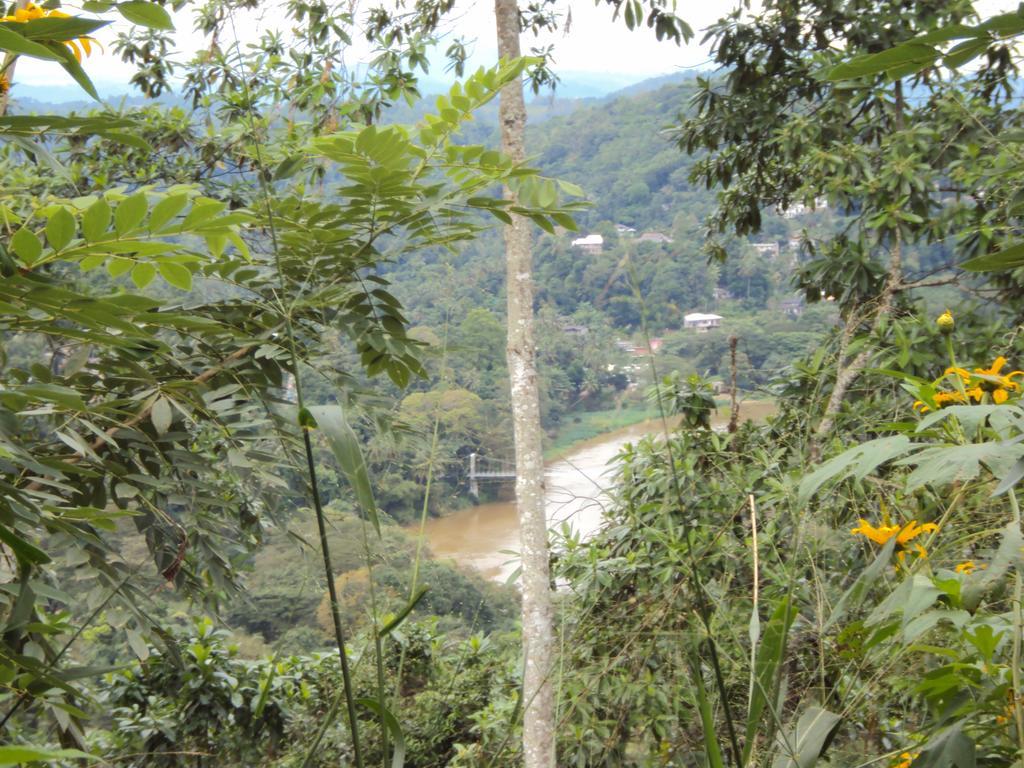 Araliya Home Stay Kandy Esterno foto