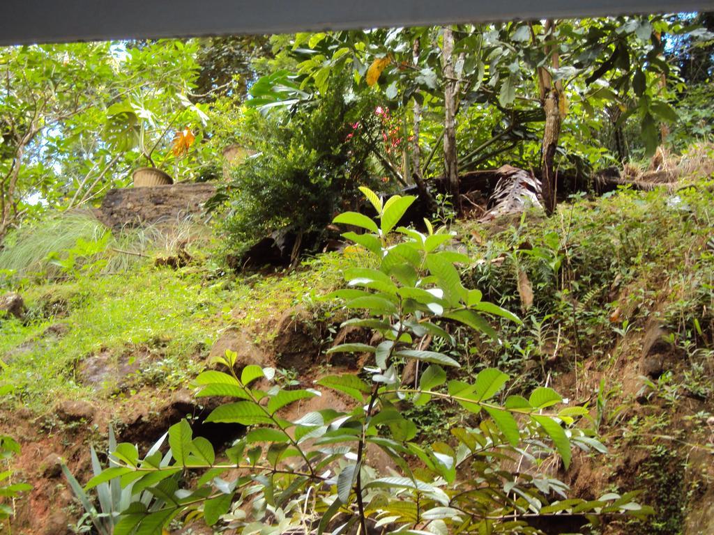 Araliya Home Stay Kandy Esterno foto