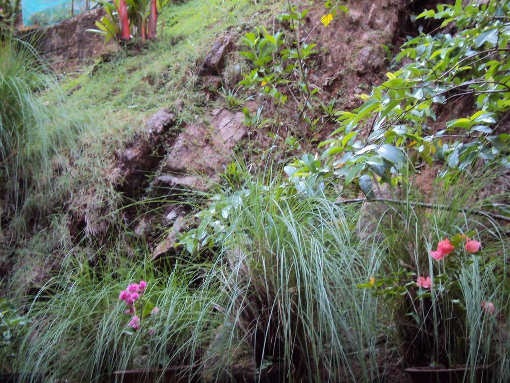 Araliya Home Stay Kandy Esterno foto