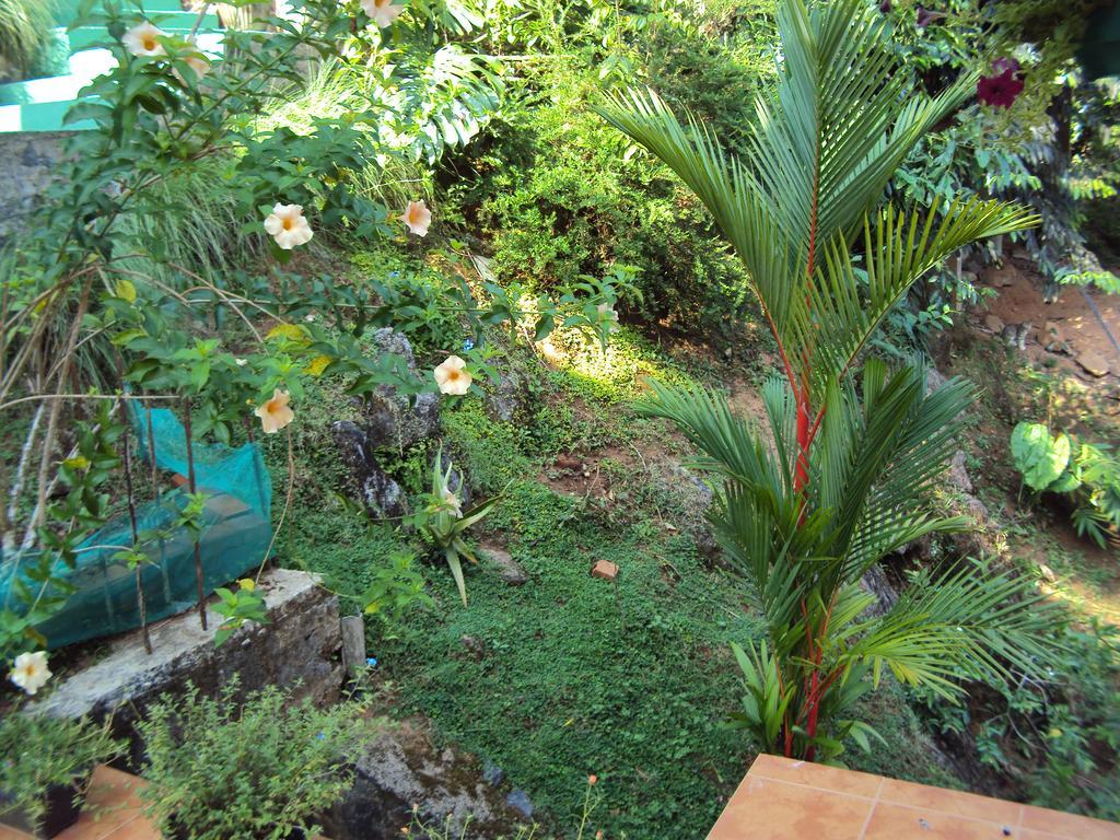 Araliya Home Stay Kandy Esterno foto