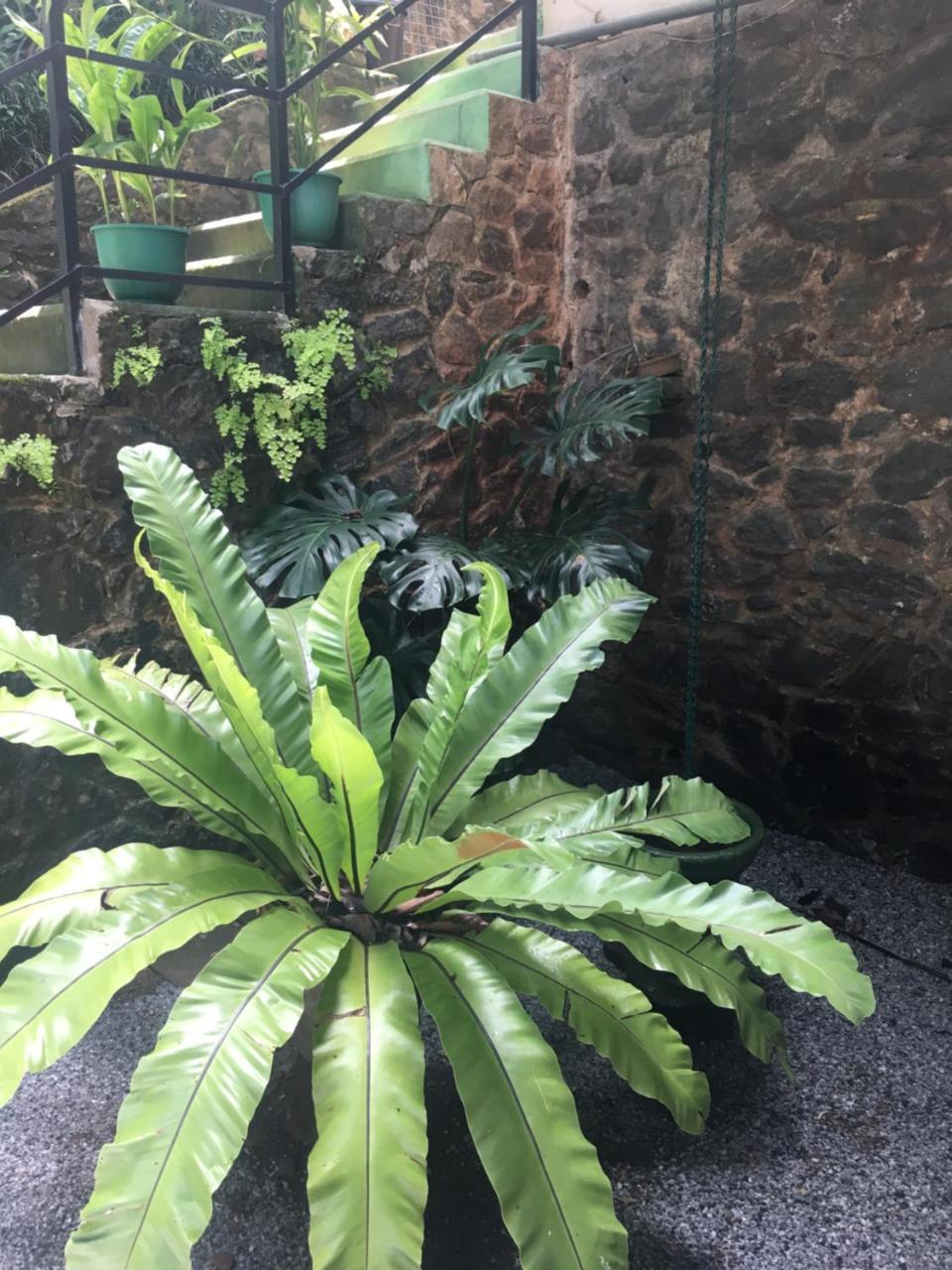 Araliya Home Stay Kandy Esterno foto