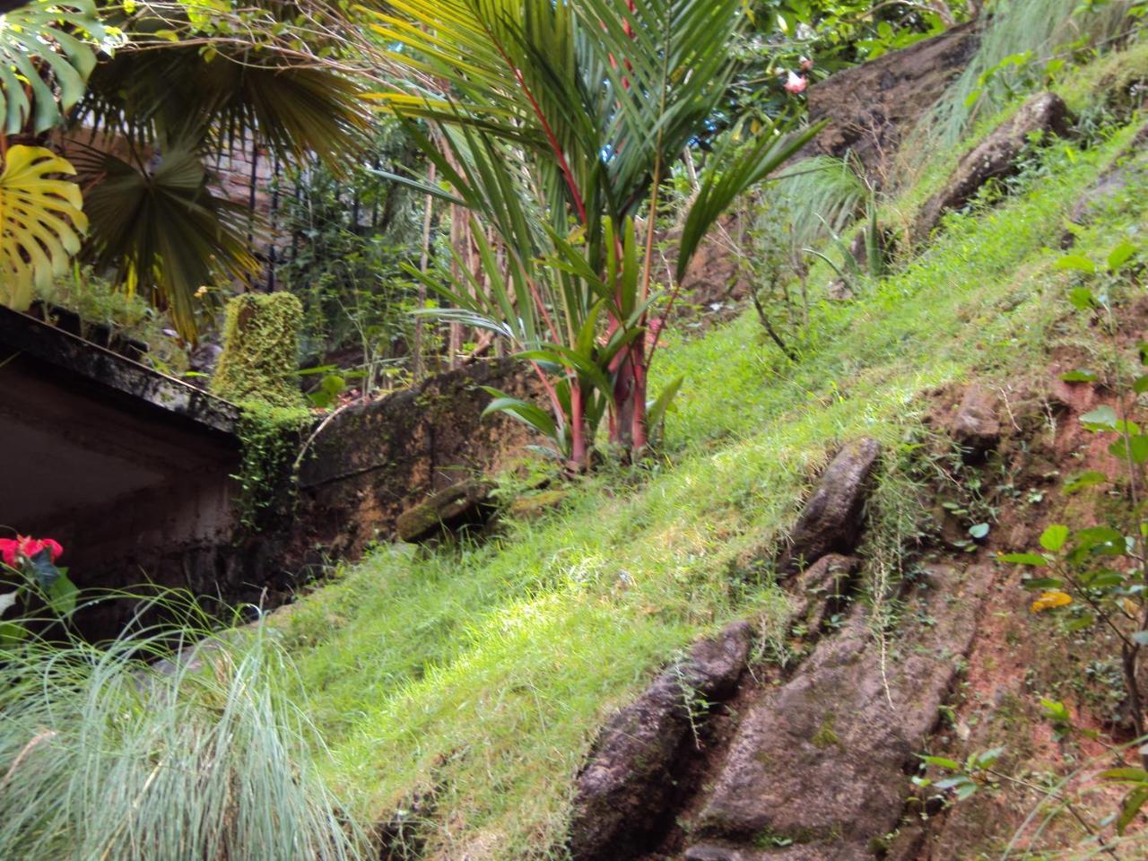 Araliya Home Stay Kandy Esterno foto