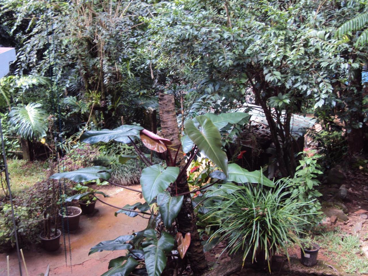Araliya Home Stay Kandy Esterno foto